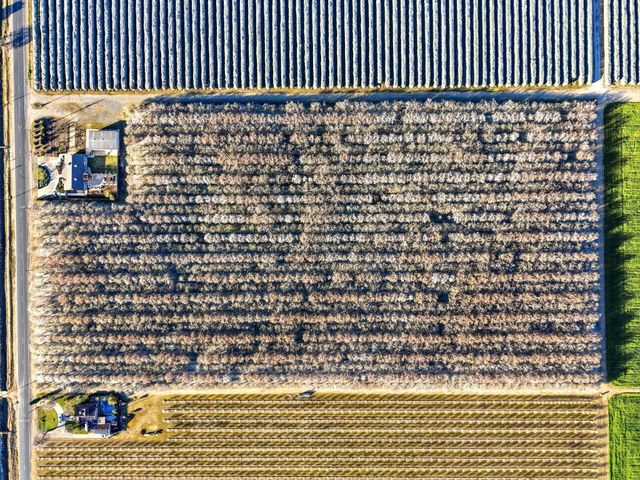 39532 Road 104, Dinuba, CA 93618