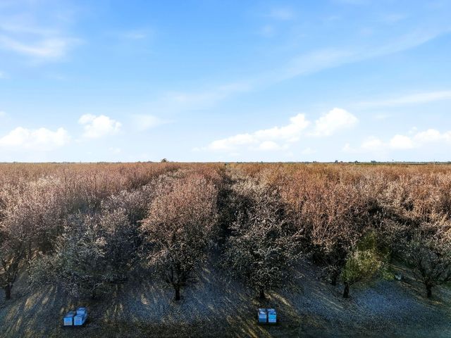 39532 Road 104, Dinuba, CA 93618