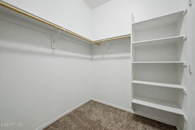 1447 W BRANGUS Way, San Tan Valley, AZ 85143