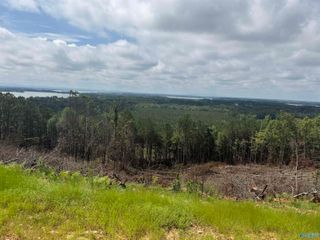 Lot 6 County Road 1022 #6, Cedar Bluff, AL 35959