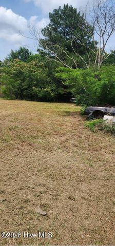 484 Yellow Skin Road, Autryville, NC 28318