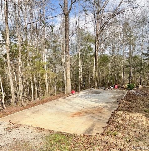 15667 Butler Ridge, Cottondale, AL 35453