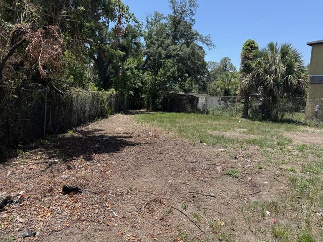 4415 BOOKER T DRIVE, Tampa, FL 33610