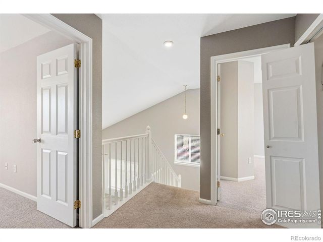 1009 Lochmore Place, Fort Collins, CO 80524