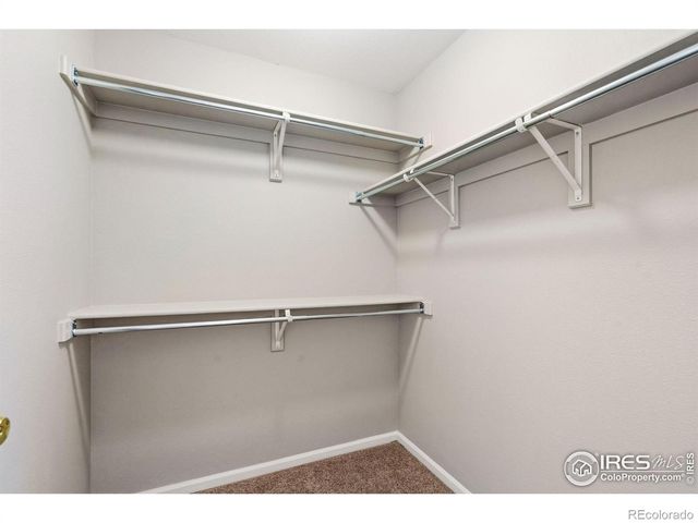 1009 Lochmore Place, Fort Collins, CO 80524