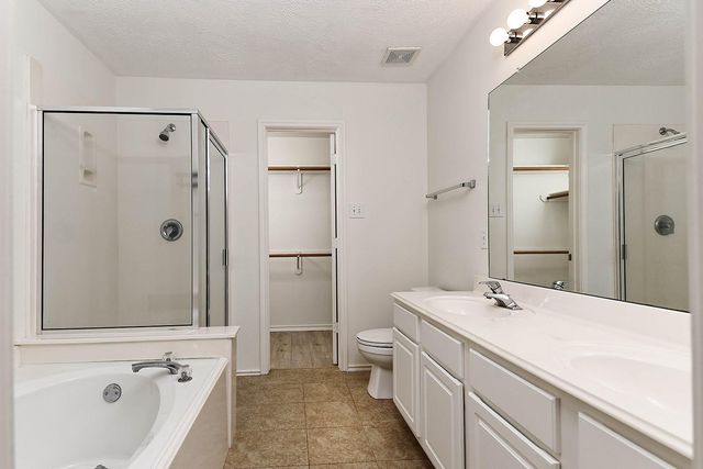 222 Blushwood Place, The Woodlands, TX 77382