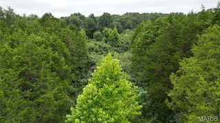 6135 Tall Cedars Road, Hillsboro, MO 63050