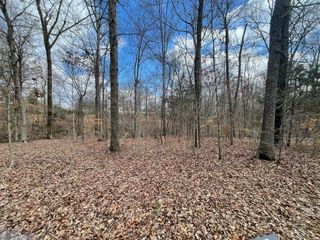 0 Highway 48, Cumberland Furnace, TN 37051