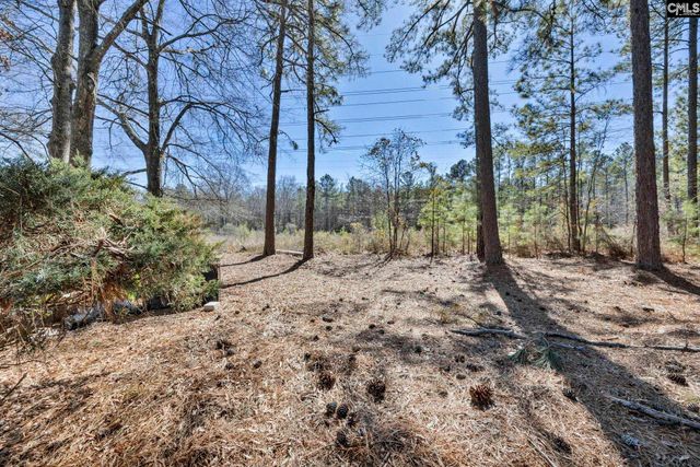 29A Battery Walk Court, Columbia, SC 29212