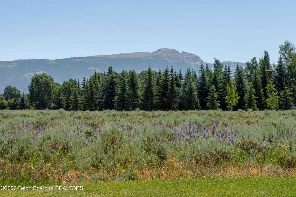 450 PHELPS CANYON Road, Jackson, WY 83001 photo 21