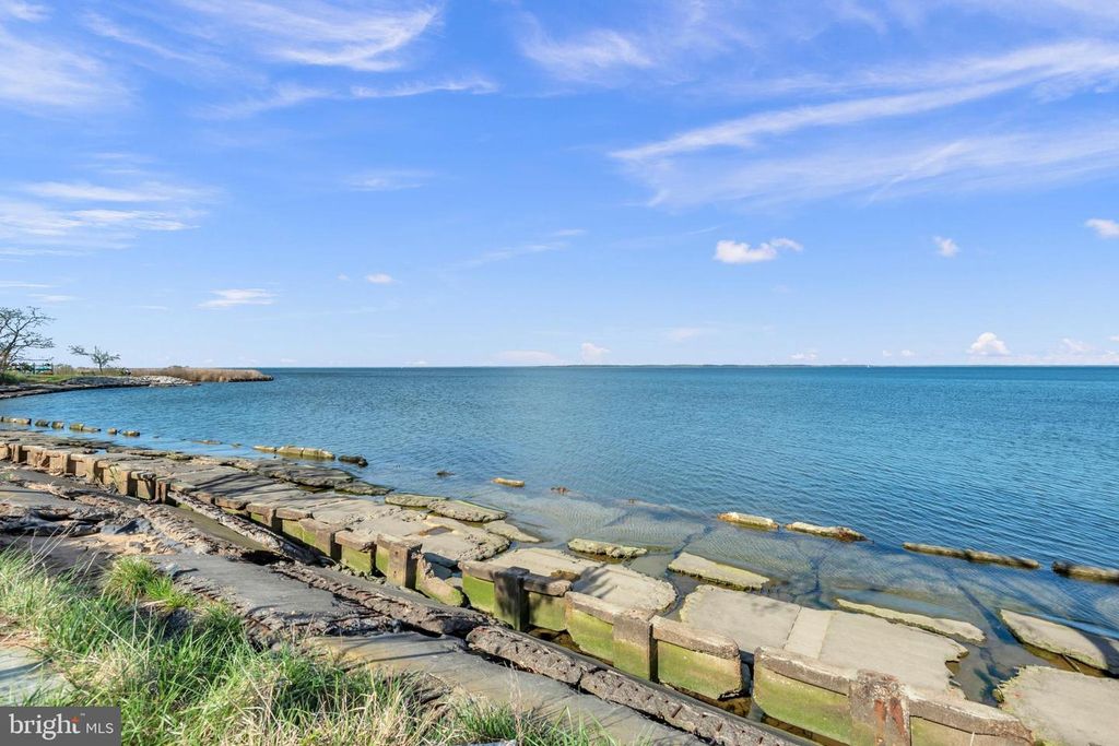 Image 40 of property listing at 111 MARSHGRASS WAY #21, Chester, MD 21619