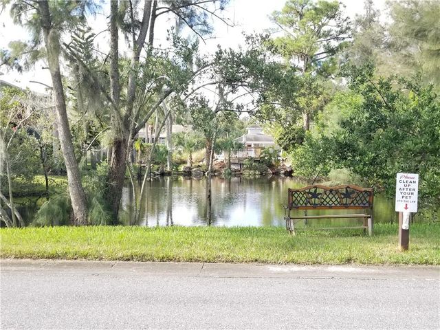 4970 MARINA PALMS DRIVE, Port Richey, FL 34668