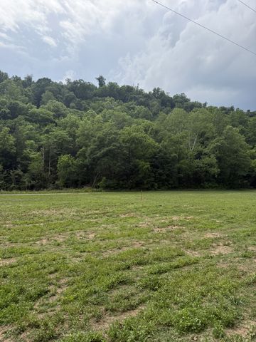 0 Hurricane Branch Lane, Gainesboro, TN 38562