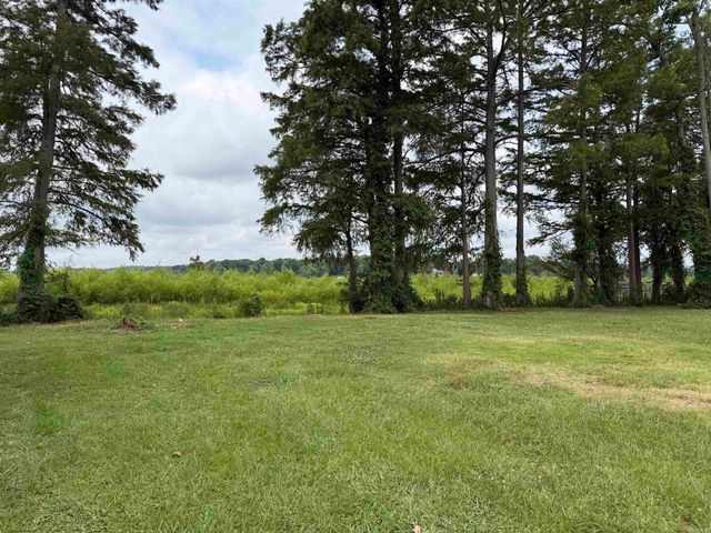 24 Mountain Air Dr, Conway, AR 72032