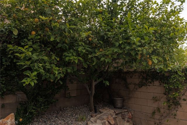 9795 Amador Ranch Avenue, Las Vegas, NV 89149