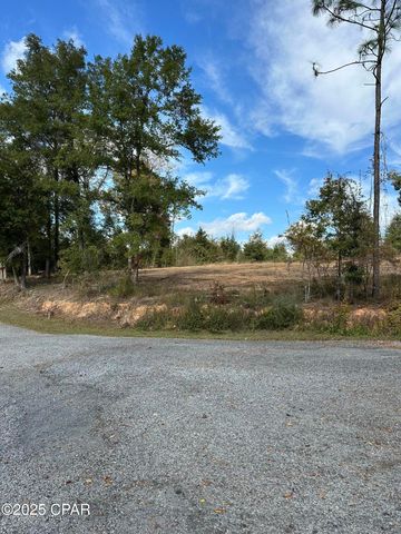 Lot 1 & 2 Lakeshore Drive, Alford, FL 32420