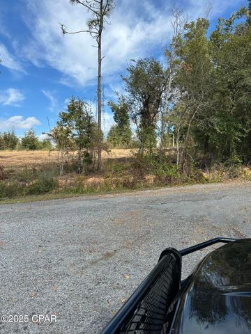 Lot 1 & 2 Lakeshore Drive, Alford, FL 32420