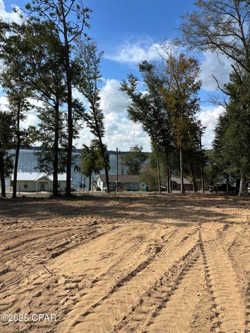 Lot 1 & 2 Lakeshore Drive, Alford, FL 32420