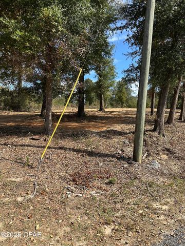 Lot 1 & 2 Lakeshore Drive, Alford, FL 32420