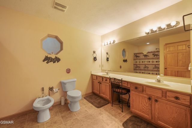 1029 Shadow Ridge Drive, Sevierville, TN 37862