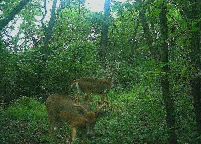 3014 W 4th Street, Pittsburg, KS 66762