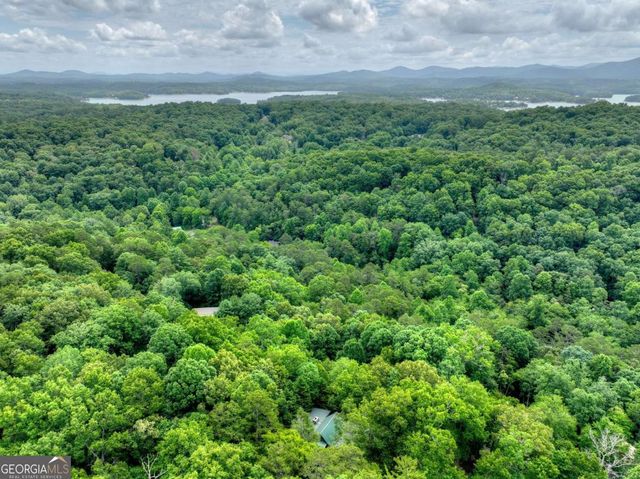 246 Uphill Road, Blue Ridge, GA 30513
