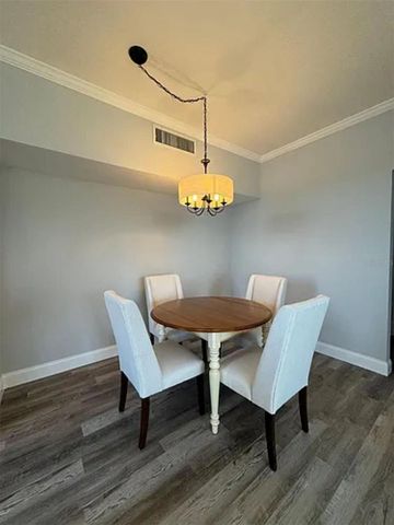 9820 LAKE CHASE ISLAND WAY 9820, Tampa, FL 33626