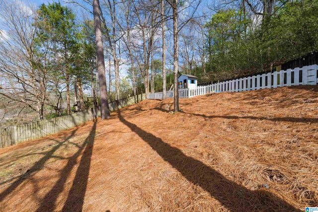 307 RIDGE ROAD, Homewood, AL 35209