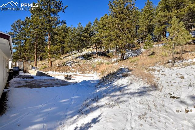 271 Circle Drive, Florissant, CO 80816