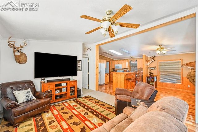 271 Circle Drive, Florissant, CO 80816