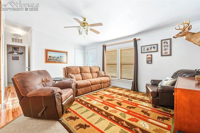 271 Circle Drive, Florissant, CO 80816