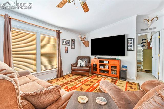 271 Circle Drive, Florissant, CO 80816