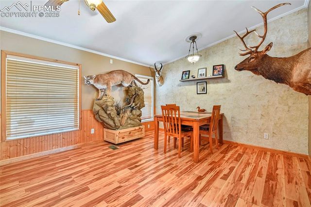 271 Circle Drive, Florissant, CO 80816