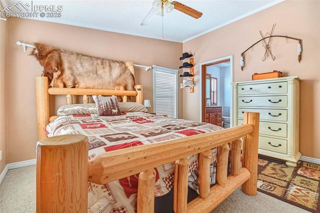 271 Circle Drive, Florissant, CO 80816