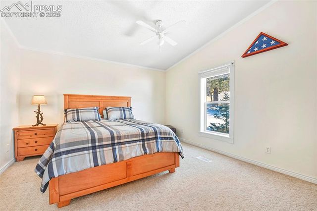 271 Circle Drive, Florissant, CO 80816