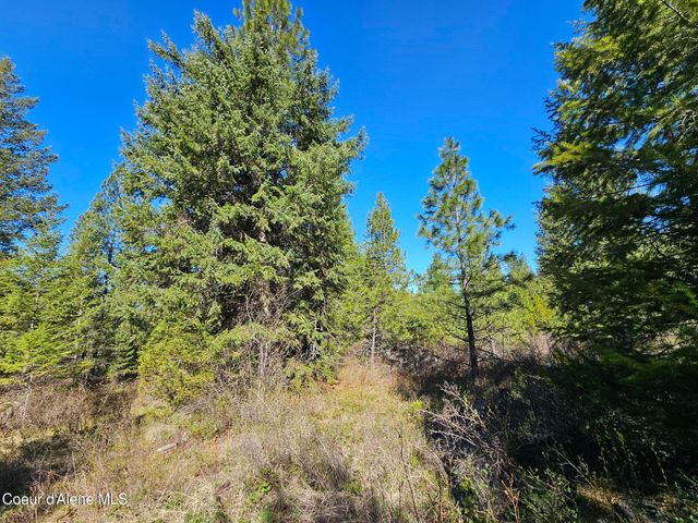 NNA N Sunset Hill Rd, Athol, ID 83801