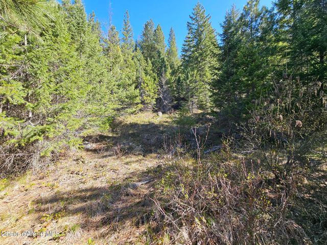 NNA N Sunset Hill Rd, Athol, ID 83801