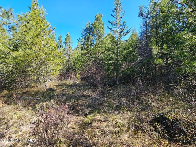 NNA N Sunset Hill Rd, Athol, ID 83801