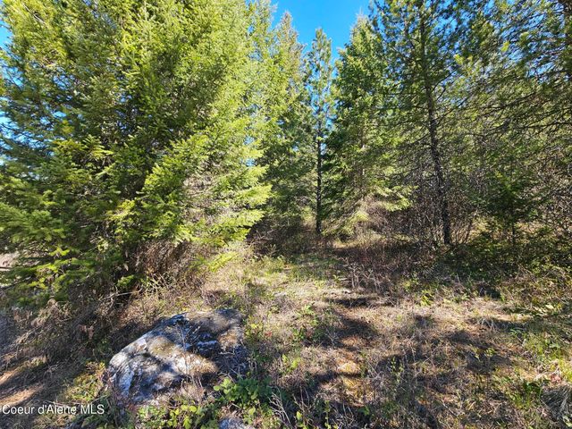 NNA N Sunset Hill Rd, Athol, ID 83801