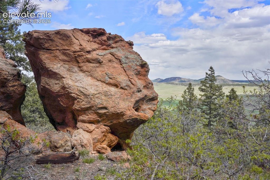 15947 S Perry Park Road, Palmer Lake, CO 80133 — photo 4