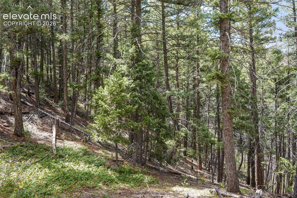 15947 S Perry Park Road, Palmer Lake, CO 80133 — photo 5