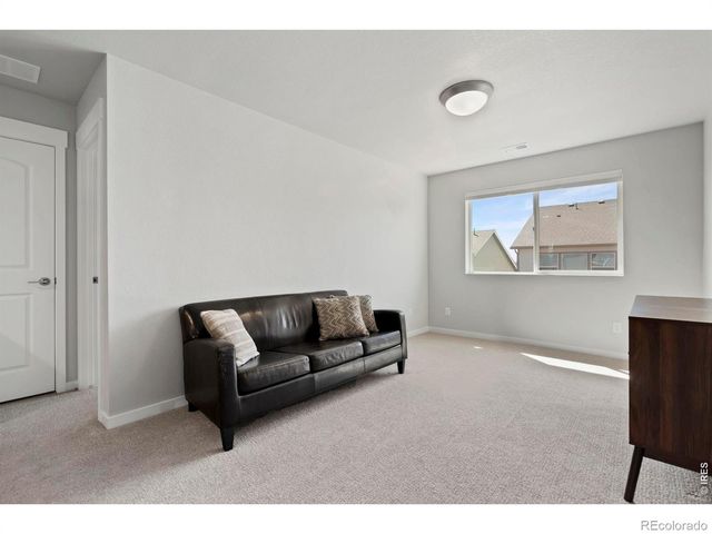 5287 Honeycomb Avenue, Timnath, CO 80547