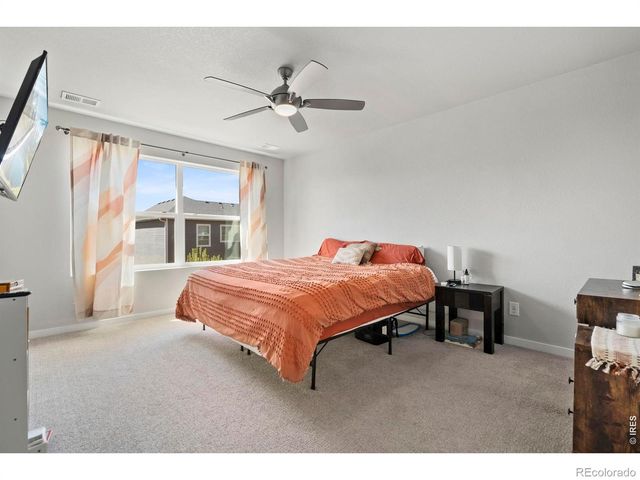 5287 Honeycomb Avenue, Timnath, CO 80547