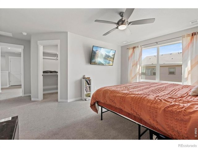 5287 Honeycomb Avenue, Timnath, CO 80547