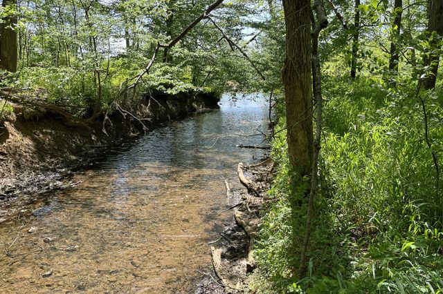1371 Johns Loop Rd, Franklin, KY 42134