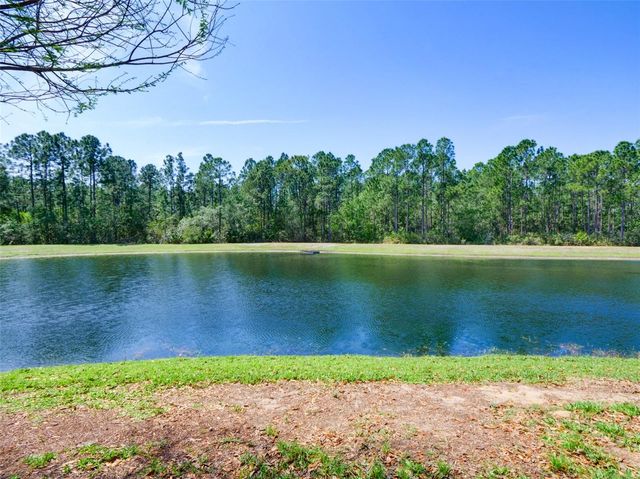 9055 TREASURE TROVE LANE 101, Kissimmee, FL 34747