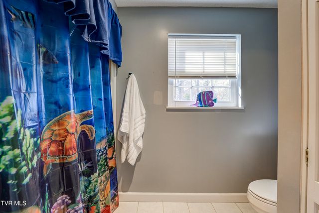 312 Ivanhoe Drive, Johnson City, TN 37601