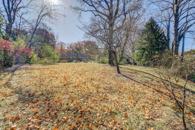 312 Ivanhoe Drive, Johnson City, TN 37601