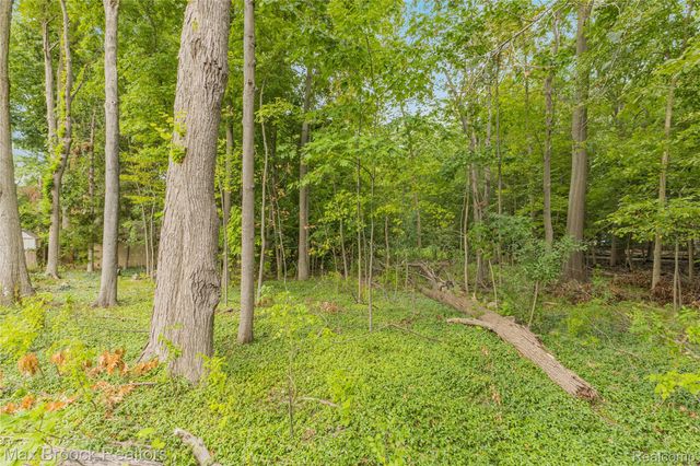 29799 Linden Street, Farmington Hills, MI 48336