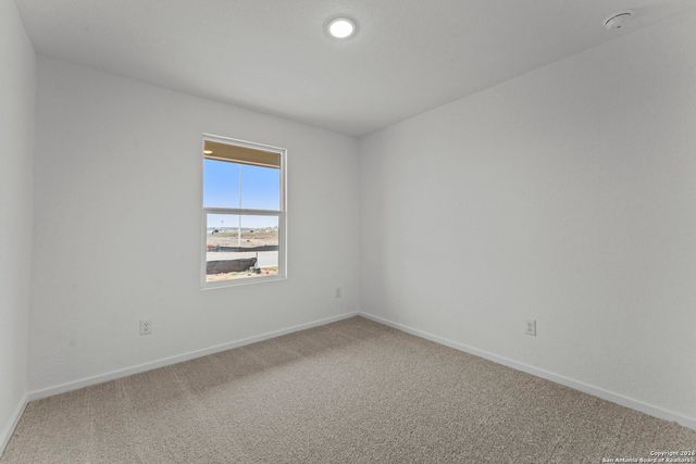 1851 Wood Warbler, New Braunfels, TX 78130